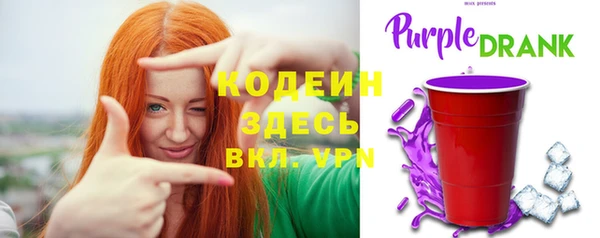 дурь Алексин