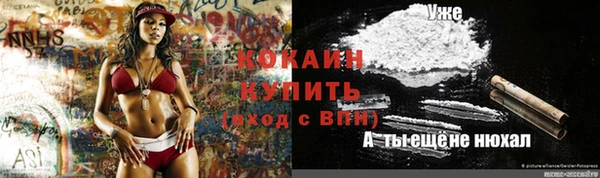 дурь Алексин